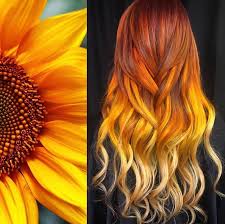 Pin By Amanda Sweazy On Szepseges Hair Styles Cool Hair Color Sunset Hair