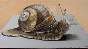 He then uses stickers to add color and texture the wind turbine, which is then finalized as a 3d asset in a power point presentation. How To Draw Anamorphic Illusion Presentation Of The Entire Procedure Snail Art 3d Paper Art 3d Pencil Art