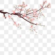 Fundo Aquarela Sakura Com Ramos De Cerejeira Em Flor Natureza Clipart Sakura Flor Imagem Png E Vetor Para Download Gratuito Cherry Blossom Images Cherry Blossom Petals Cherry Blossom Vector Download for free in png, svg, pdf formats 👆. cherry blossom images