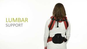 Safe for baby's hips and acknowledged as a hip healthy carrier by the international hip dysplasia institute. Lillebaby Complete Baby Carrier Lumbar Support Instructions Youtube