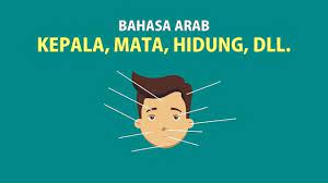 Kemudian pada saat memberikan ucapan salam dan selamat, perhatikan juga kontak mata dan malam, cara menyampaikan saat memberikan ucapan selamat, contoh bahasa arabnya kangen. Kosakata Bahasa Arab Di Kepala Mata Hidung Mulut Telinga Rambut Dll