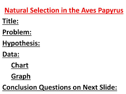 Ppt Natural Selection In The Aves Papyrus Powerpoint