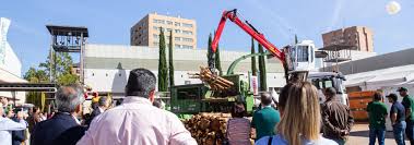 Diego se sorprende mucho porque nadie la invita a nada. Spanien Nutzt 35 Der Durch Walder Erzeugten Biomasse Ressourcen Kaum Aus Expobiomasa