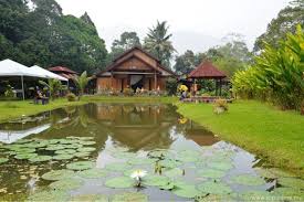 Selain paintball, terdapat juga aktiviti atv offroad di janda baik. Family Day Di Teratak Malaya Janda Baik Pahang Sop Name My