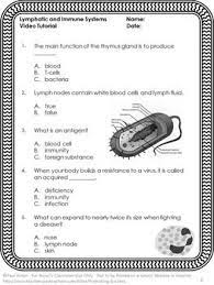Free Immune System Lymphatic System 5th Grade Human Body Systems Activity Lymphatic System Activities Human Body Systems Body Systems Activities