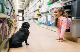 Sacred pet boutique's egift cards are perfect for gift giving on special occasions and birthdays. These Are The Best Pet Stores In Nyc And Surrounding Areas Nymetroparents