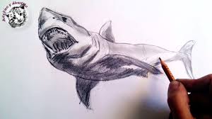 Maybe you would like to learn more about one of these? Como Dibujar Un Tiburon A Lapiz Paso A Paso Tecnicas Lapiz De Grafito Youtube