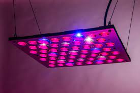 I addition, i use them to supplement the natural light on my foliage plants. Bonsai Hero 150 Watt Led Grow Light Panel Review
