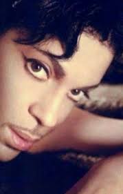 Purple BAKS Prince Group