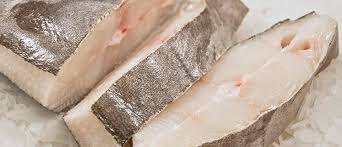 After cooking, store seafood in the refrigerator 3 to 4 days. Halibut Shelf Life How Long Does Halibut Last Fresher Pantry