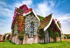 We did not find results for: World Love Flowers On Twitter Loveflowers Garden Dubai Miracle Garden The Most Beautiful And Biggest Natural Flower Garden In The World Miraclegardenae Https T Co 1xji71uccs