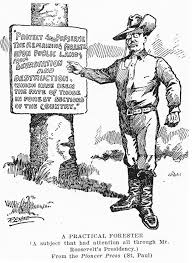 1908 U S Editorial Cartoon On Theodore Roosevelt And Conservation Policies Roosevelt Theodore Roosevelt Teddy Roosevelt