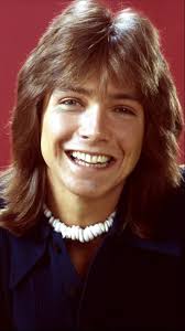 The Life and Death of David Cassidy #davidcassidy #thepartridgefamily  #legend