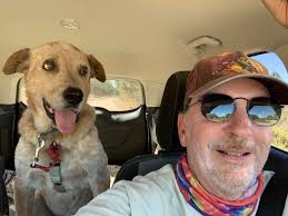 Best Friends Animal Care Center in Merrill, WI, Staff Turnover and Client  Experiences