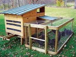 The american style chicken coop. Pallet Chicken Coop Out Of Recycled Pallets