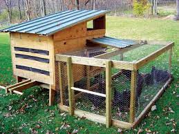 We did not find results for: Pallet Chicken Coop Out Of Recycled Pallets