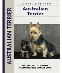 Check spelling or type a new query. Australian Terrier Buy Australian Terrier Online At Low Price In India On Snapdeal