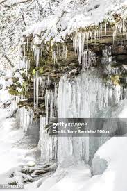 92 Bendele Stock Photos, High-Res Pictures, and Images