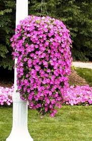 30 Beautiful Cascading Planter Ideas That Will Enhance Your Backyard Home Hanging Garden Hanging Flowers Hanging Flower Baskets