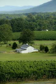 Beautiful Pictures Of Virginia Vineyards 1x57 Virginia Vineyard Old Farm Houses Pictures Of Virginia