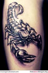 99 Scorpion Tattoos Scorpio Tattoo Designs Tatuagem De Escorpiao Tatuagem Escorpiao Tatoo Escorpiao