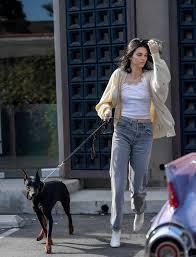 Kendall didn't leave until she knew the dog didn't bite the little girl. jenner replied, oof i'm sorry you feel that way. Kendall Jenner With Her Dog Out For Breakfast 07 Gotceleb