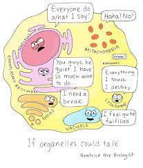 Science Cells Cartoon Funny Biology Classroom Biology Jokes Science Cells