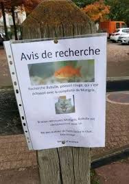 Une malle pleine de 2 600 lettres de l'europe du 17ème siècle, qui n'avaient. Ne Rien Dire Vaut Mieux Que Dire N Importe Quoi Ce Weekend Commence Mal Bubule A Disparu Il S Est Fait La Malle Ou Il A Ete Enleve Facebook