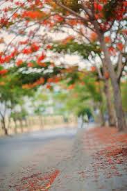 Pin On Beauty Of Nature