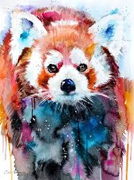 Red Panda Art Print Panda Art Animal Art Art