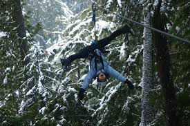 Pin On Ziptrek Whistler