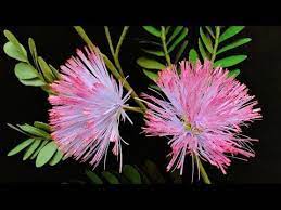 Abc Tv How To Make Calliandra Surinamensis Paper Flower Craft Tutorial Youtube Paper Flowers Paper Flowers Craft Paper Flower Tutorial