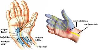 gebelikte vucuttaki uyusmalari onemseyin