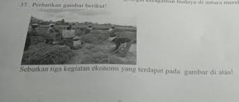37 Perhatikan Gambar Berikut Sebutkan Tiga Kegiatan Ekonomi Yang Terdapat Pada Gambar Di Atas Brainly Co Id