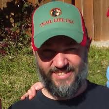 What is the best remedy for a bee sting?