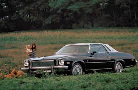 Image result for Indigo 1975 Buick
