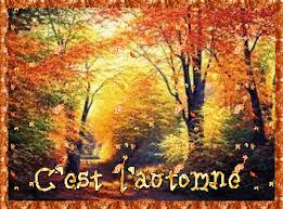 RÃ©sultat de recherche d'images pour "automne gif"