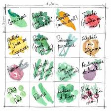 Disposition Legumes Carre Potager Carre Potager Potager Plan Jardin