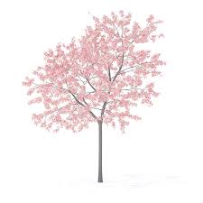 Peach Tree With Flowers 3d Model 3m Flowering Trees Peach Trees Flowers