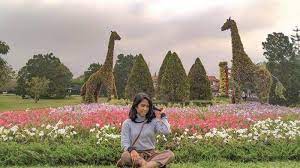 Jalan mariwati km.7, kawungluwuk, sukaresmi , cianjur, jawa barat , indonesia , 43254. Harga Tiket Masuk Taman Bunga Nusantara Tempat Wisata Dekat Jakarta Untuk Liburan Keluarga Tribun Travel