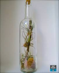 25 Unique Wine Bottle Craft Ideas For Your Garden Farmfoodfamily Tillandsia Terrarium Wine Bottle Project Wine Bottle Diy
