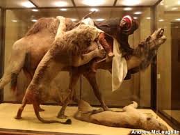 I like the nice smooth road although there are some corrugations along the way. Pittsburgh Pa Stuffed Lion Attacks Camel And Man