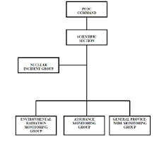 12 Unbiased Emergency Response Flow Chart