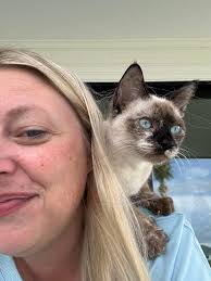 Lost Cat Mia in Middleton, Florida, near Charter Schools