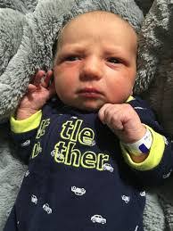 Elissa Vera's Instagram, Twitter & Facebook