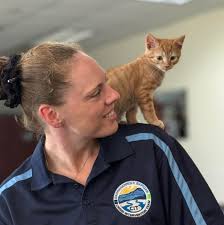 During last night's Town Council meeting, Craig Hartley, the Executive  Director for Commission