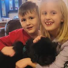 Fundraiser for Marilee Simmonds-Melnik by Joan Simmonds : Simmonds-Melnik  House Fire