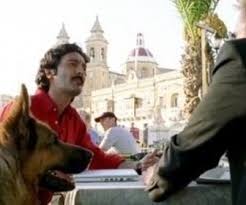 Check spelling or type a new query. Rex Chien Flic France 2 Replay Chien Nouvelles