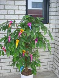 Mini Schultuten Zuckertuten Dekoration Einschulung Von Zuckertuetenfabrik Auf Dawanda Com Einschulung Feier Deko Einschulung Einschulung