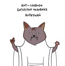 rasskaz kote kot kotik kotknou koshka citaty koshki luchshie citaty zhivotnye